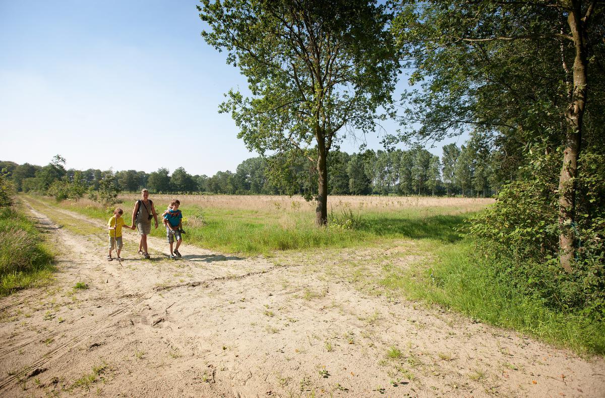 Oostkamp - Domeinbos Kampveld