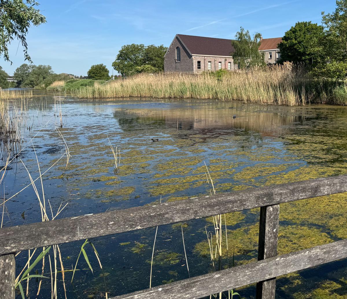 Wielsbeke - Oude Leieboord