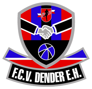 Dender football