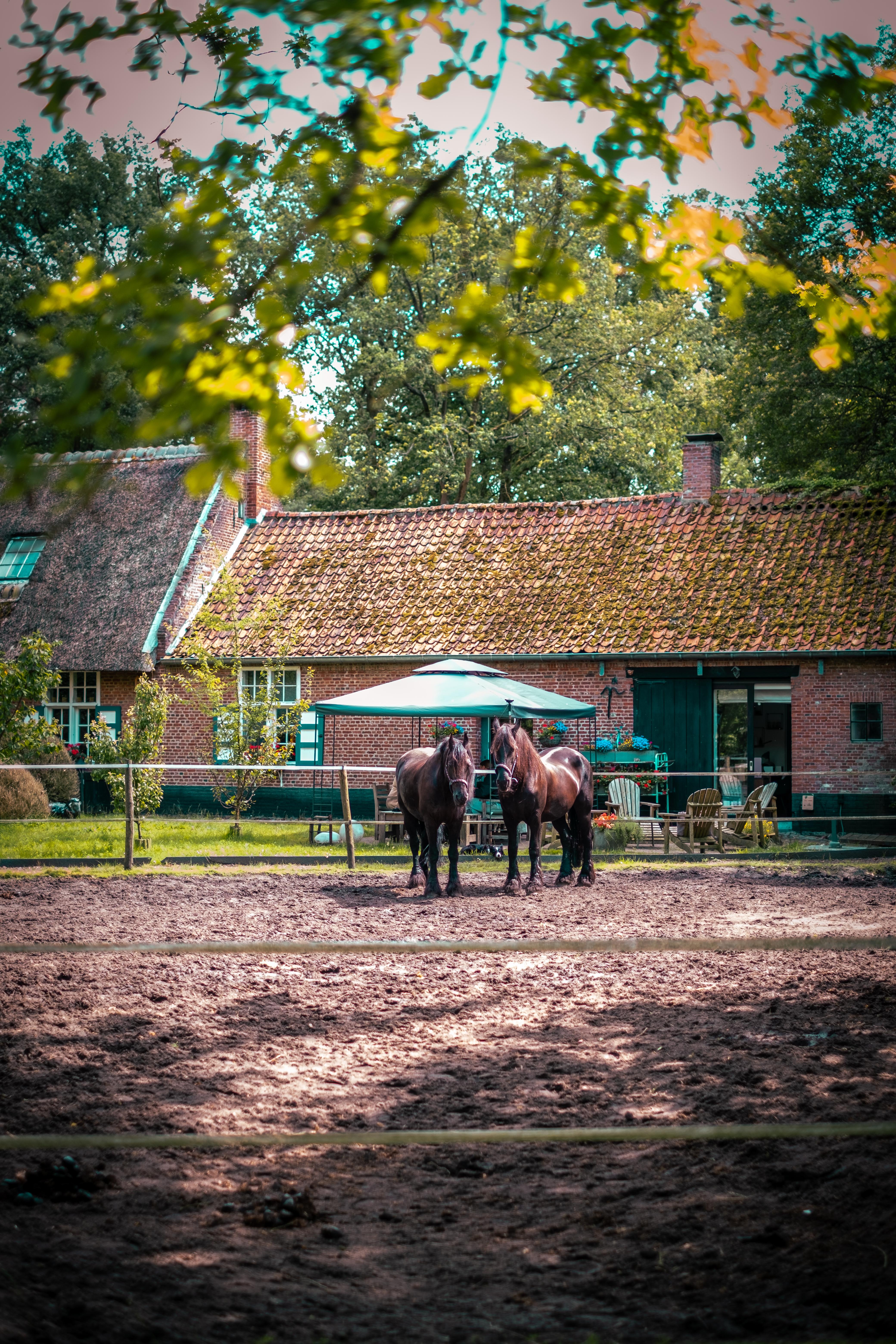 overnachten in de kempen
