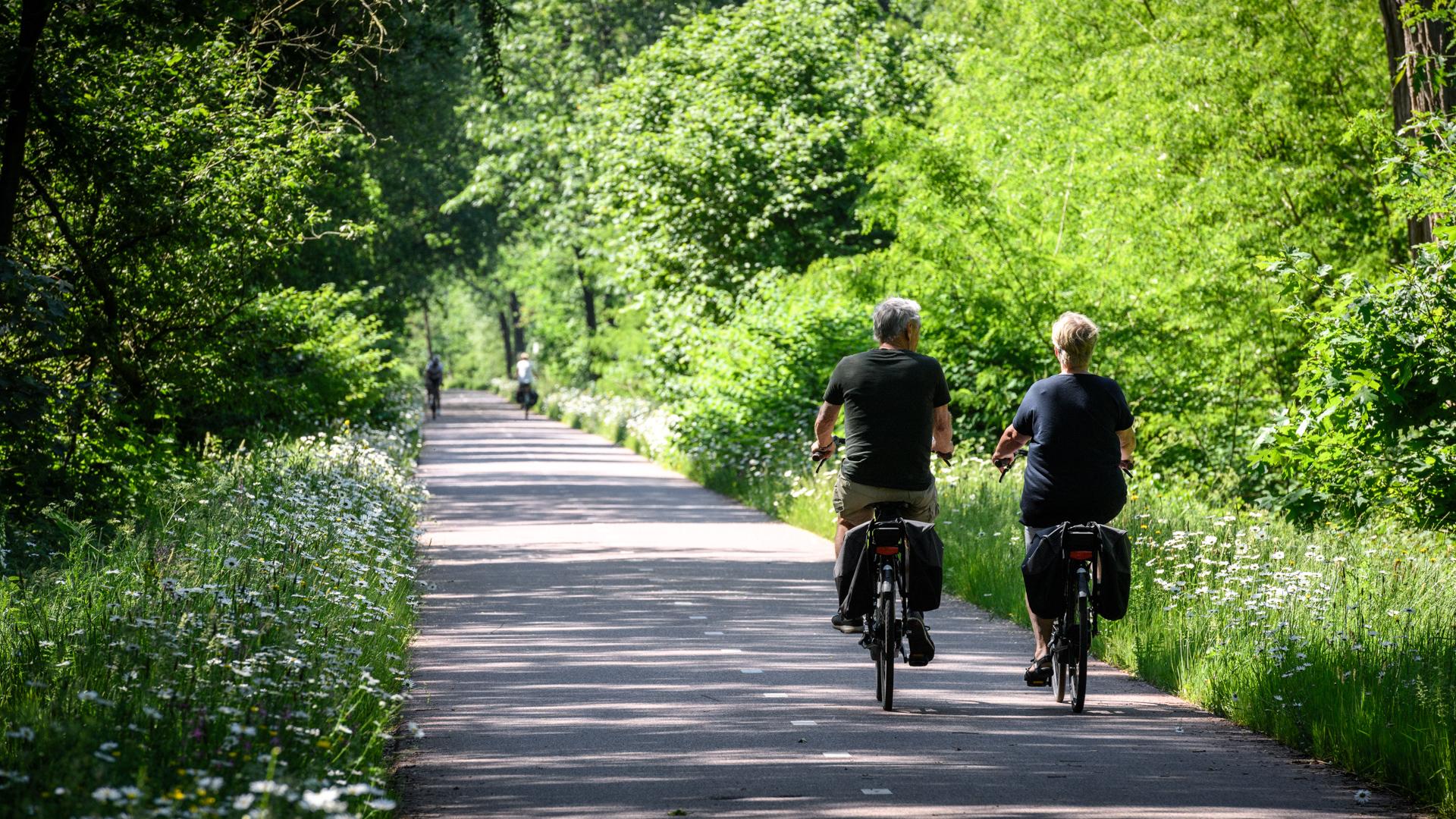 bels lijntje tilburg turnhout