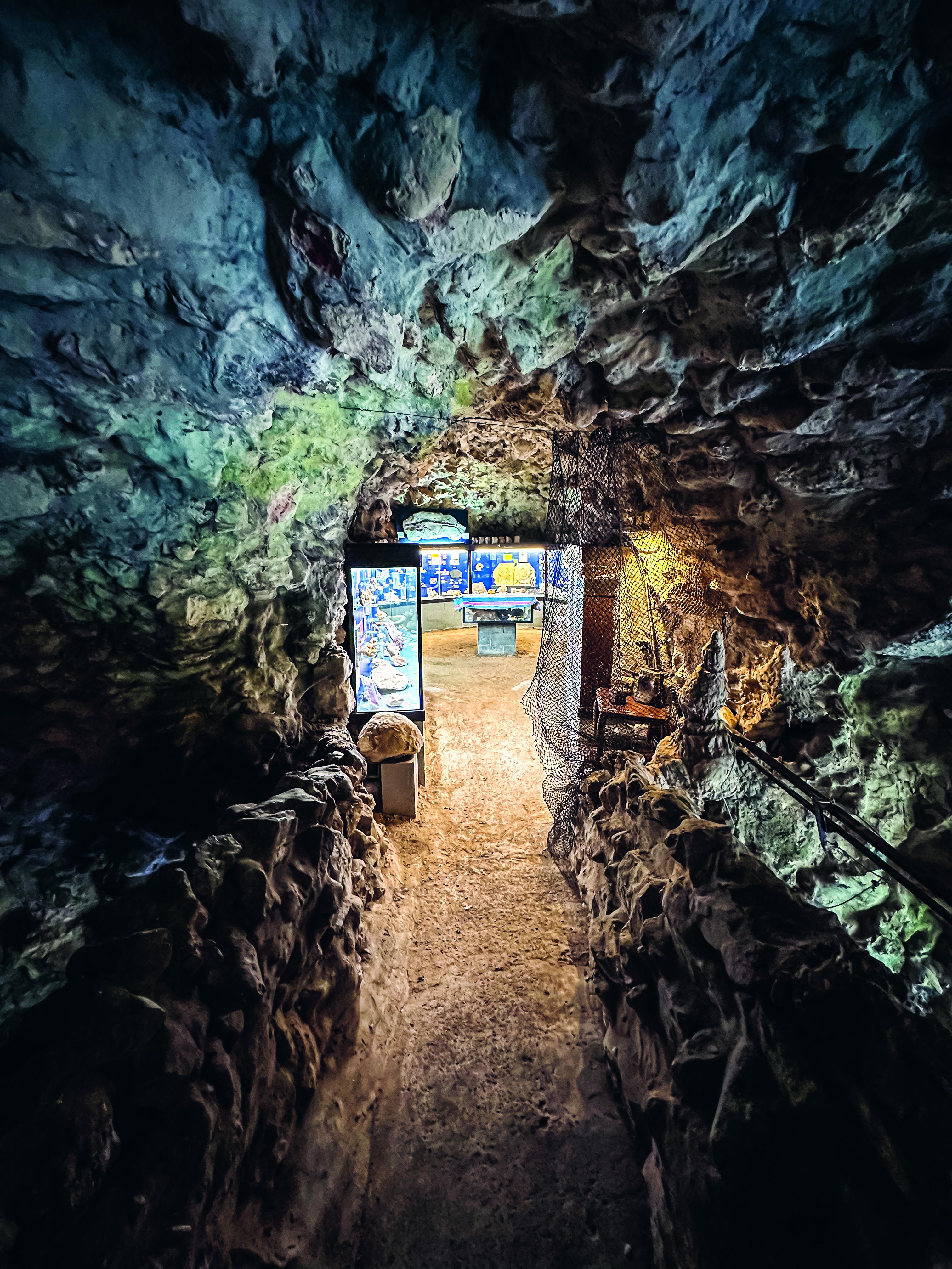 Natuurhistorisch Museum Boekenberg