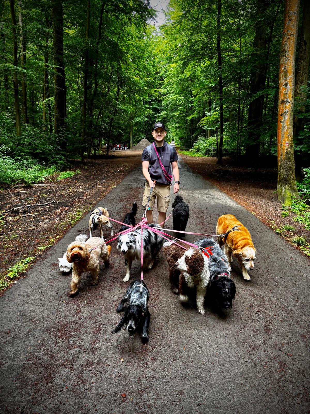Il arrive que Richard promène jusqu'à dix chiens en même temps.