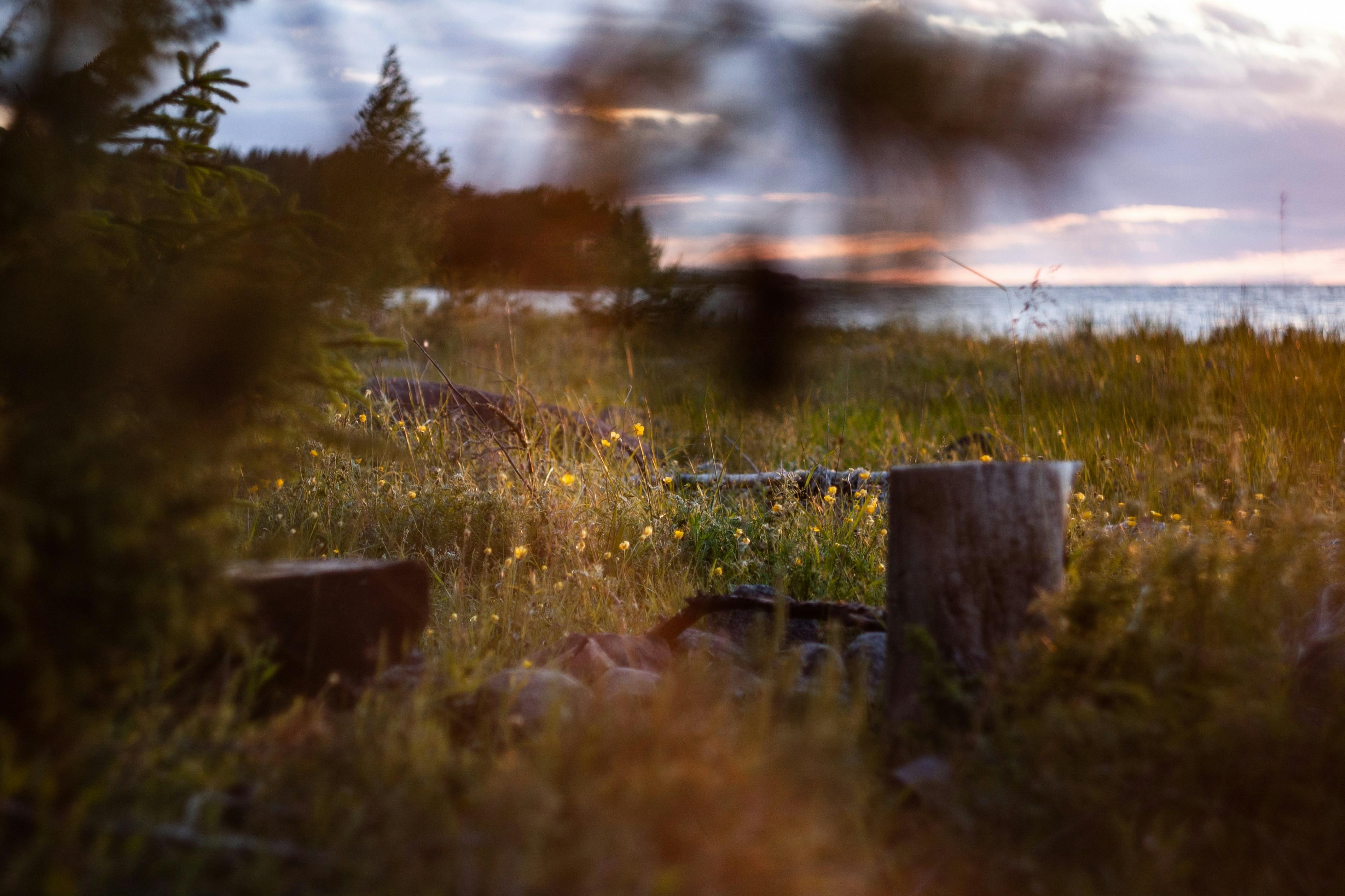 saaremaa estonia