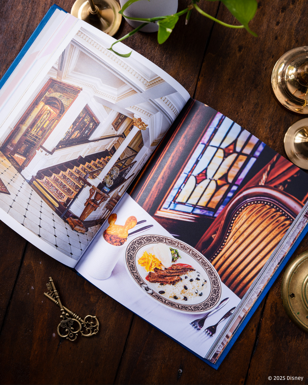 recettes Disneyland