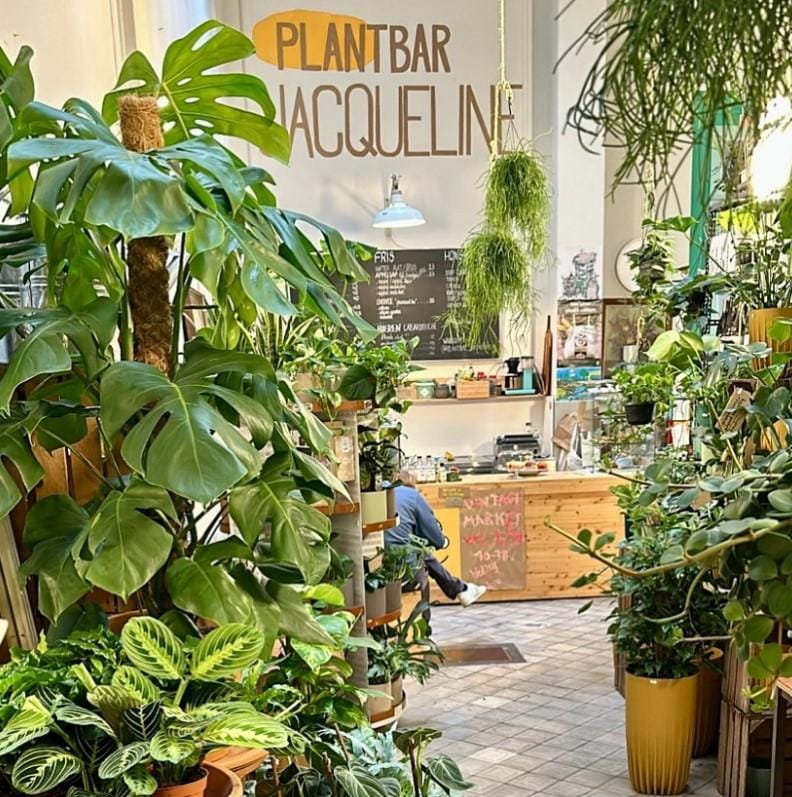 plantbar jacqueline