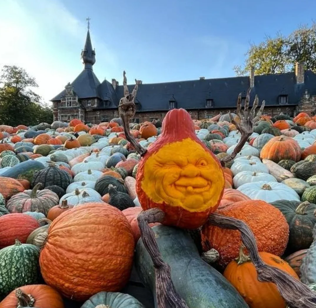 pumpkimania