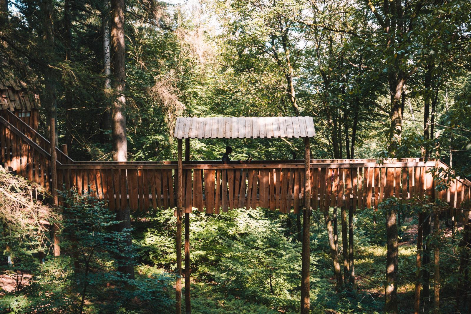 Een houten loopbrug tussen de bomen in Parc Chlorophylle.