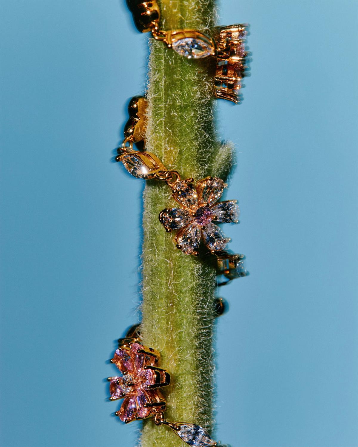 This image has an empty alt attribute; its file name is hghgg-jpg.jpg