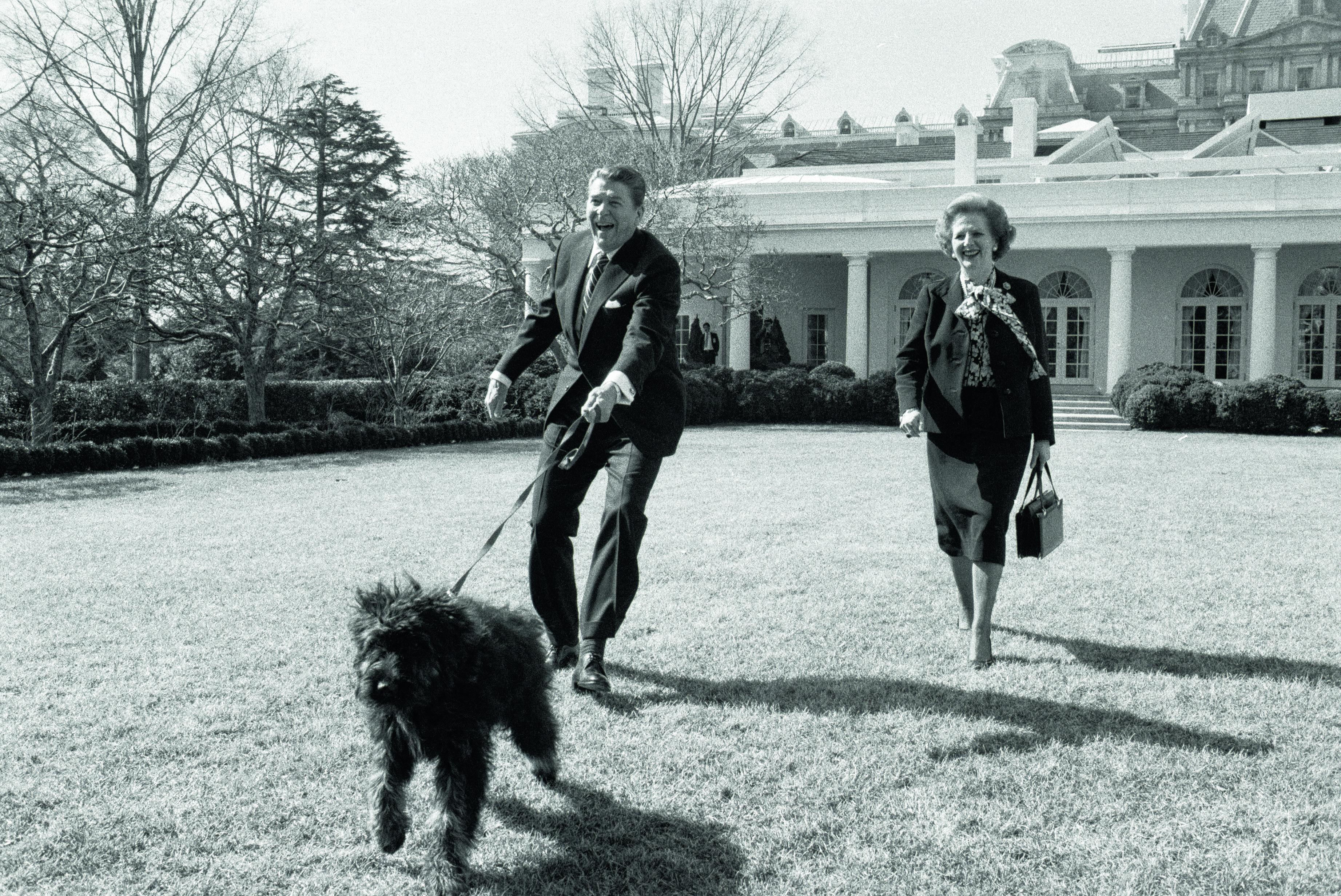 President Ronald Reagan en de Britse premier Margaret Thatcher laten Reagans hond Lucky uit op het gazon van het Witte Huis. © Getty Images
