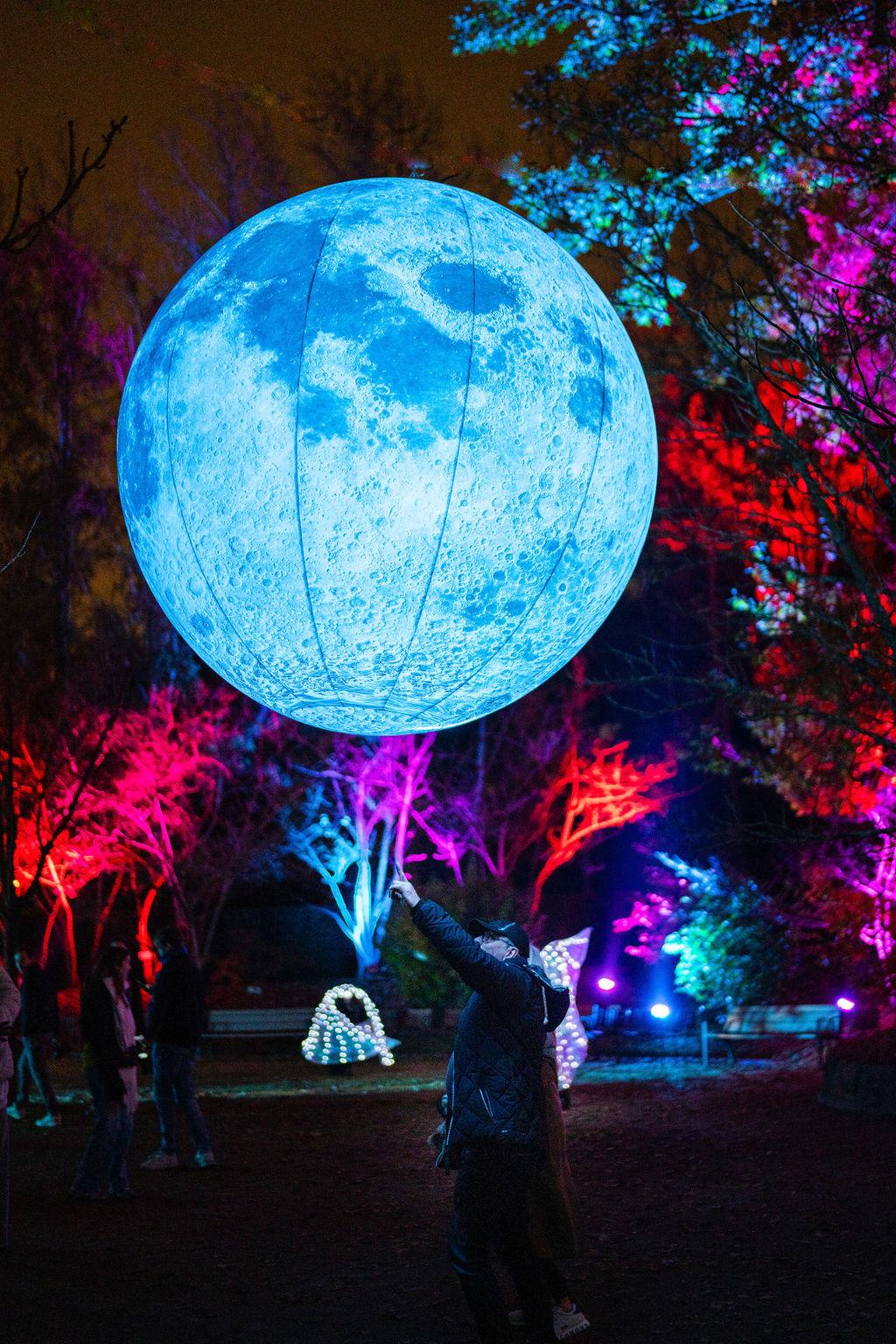 luminate festival hasselt