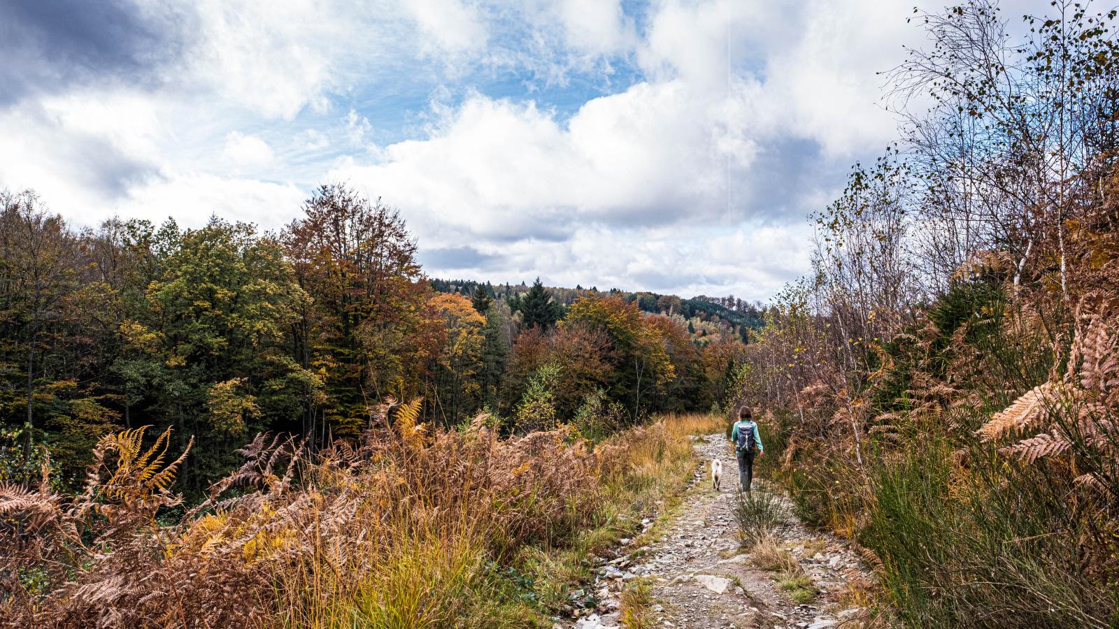 Wandelen in Ninglinspo