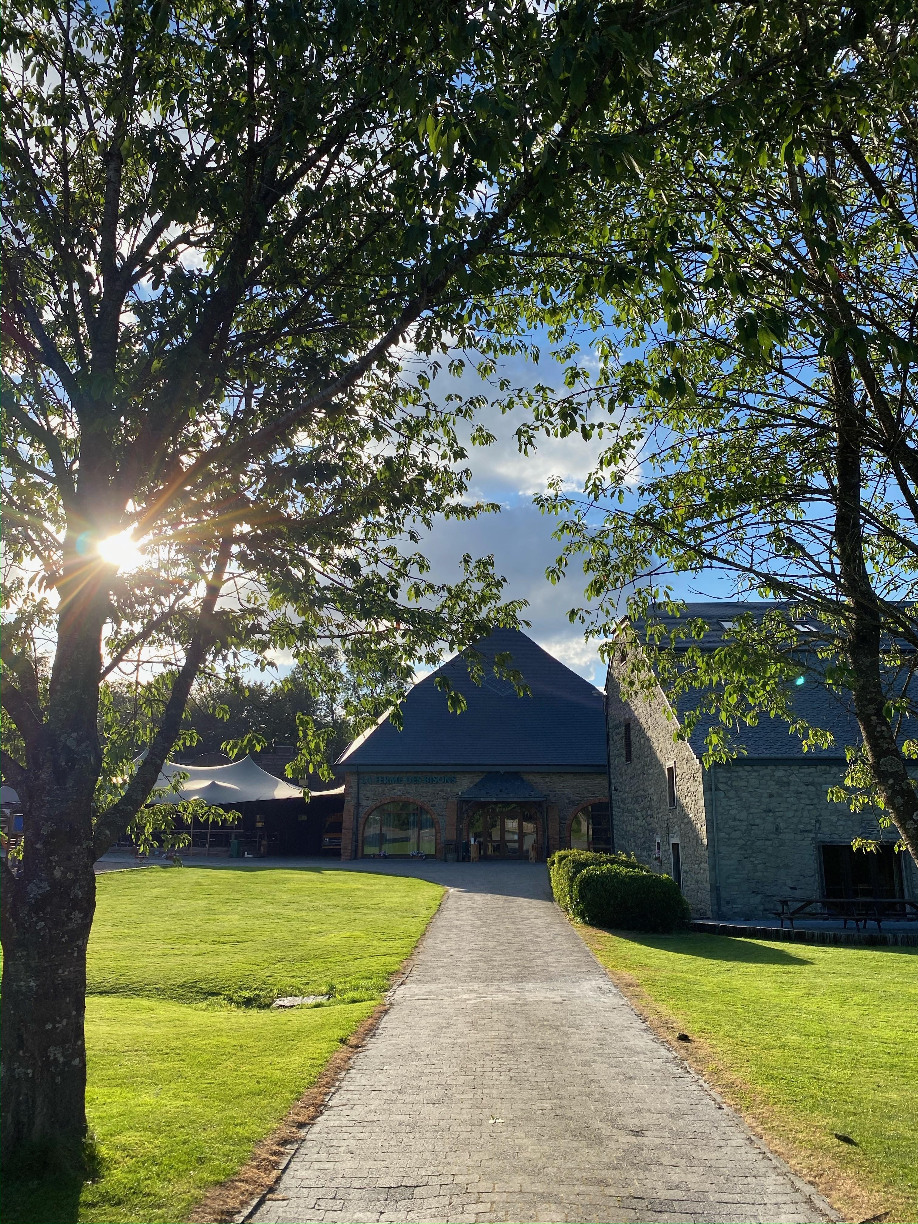vakantiehuisjes voor grote groepen