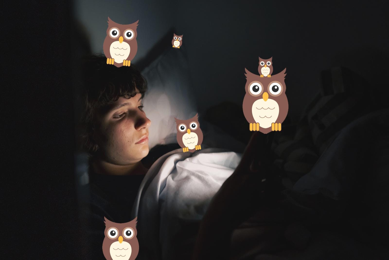 photo personne consultant son téléphone dans son lit avec des hiboux autour d'elle