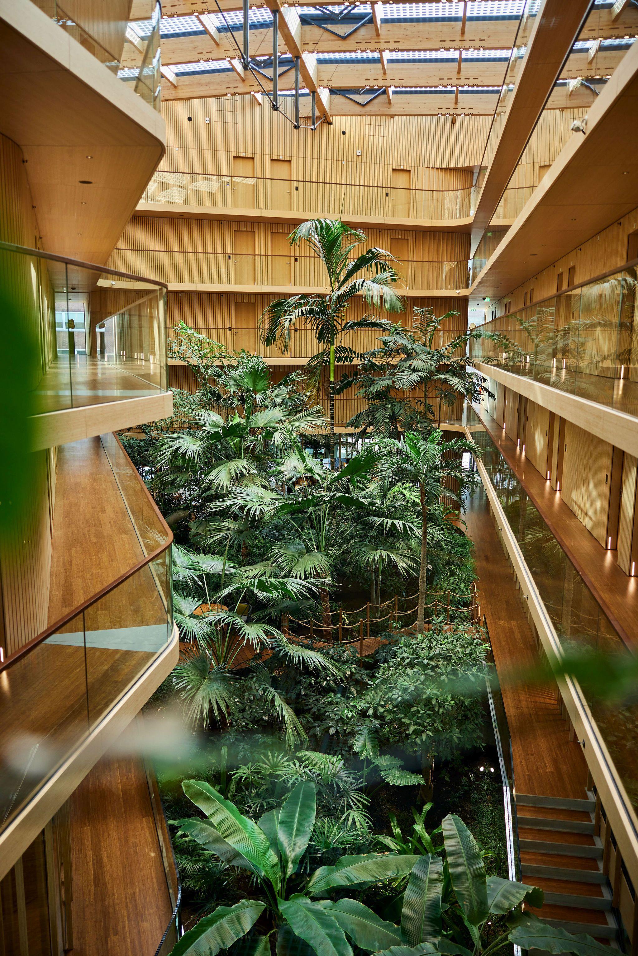 Hotel Jakarta Amsterdam tropische planten