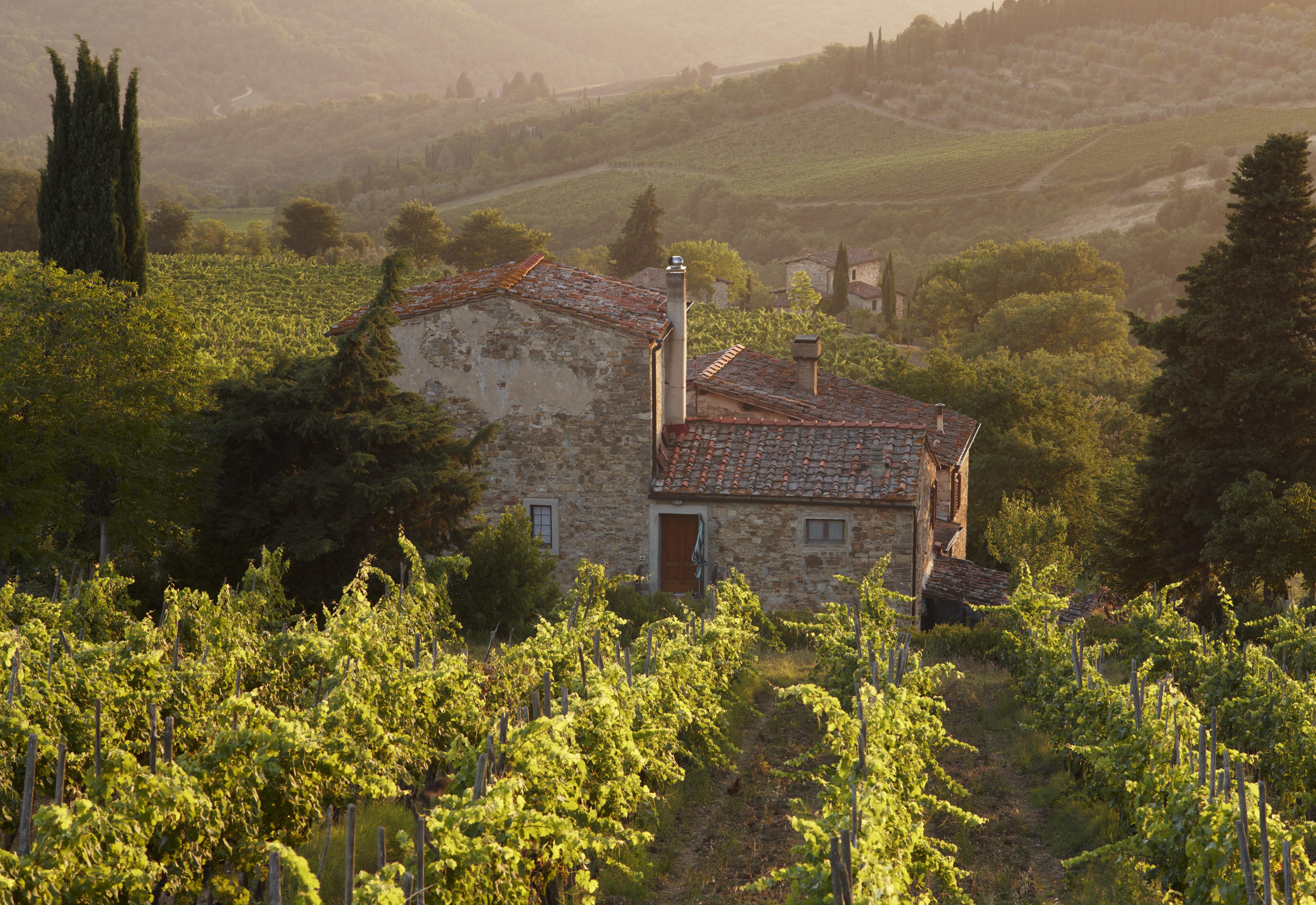 wijntoerisme in Italië