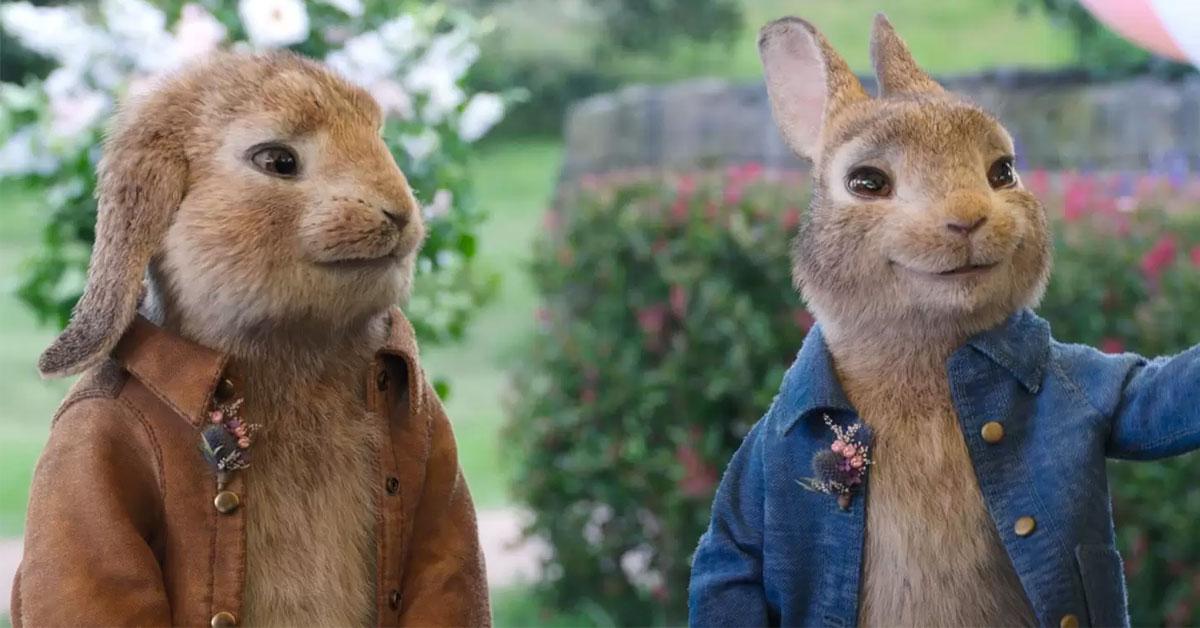 peter rabbit 2 the proposal