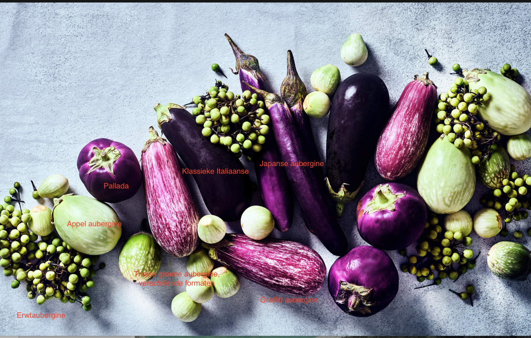 soorten aubergines