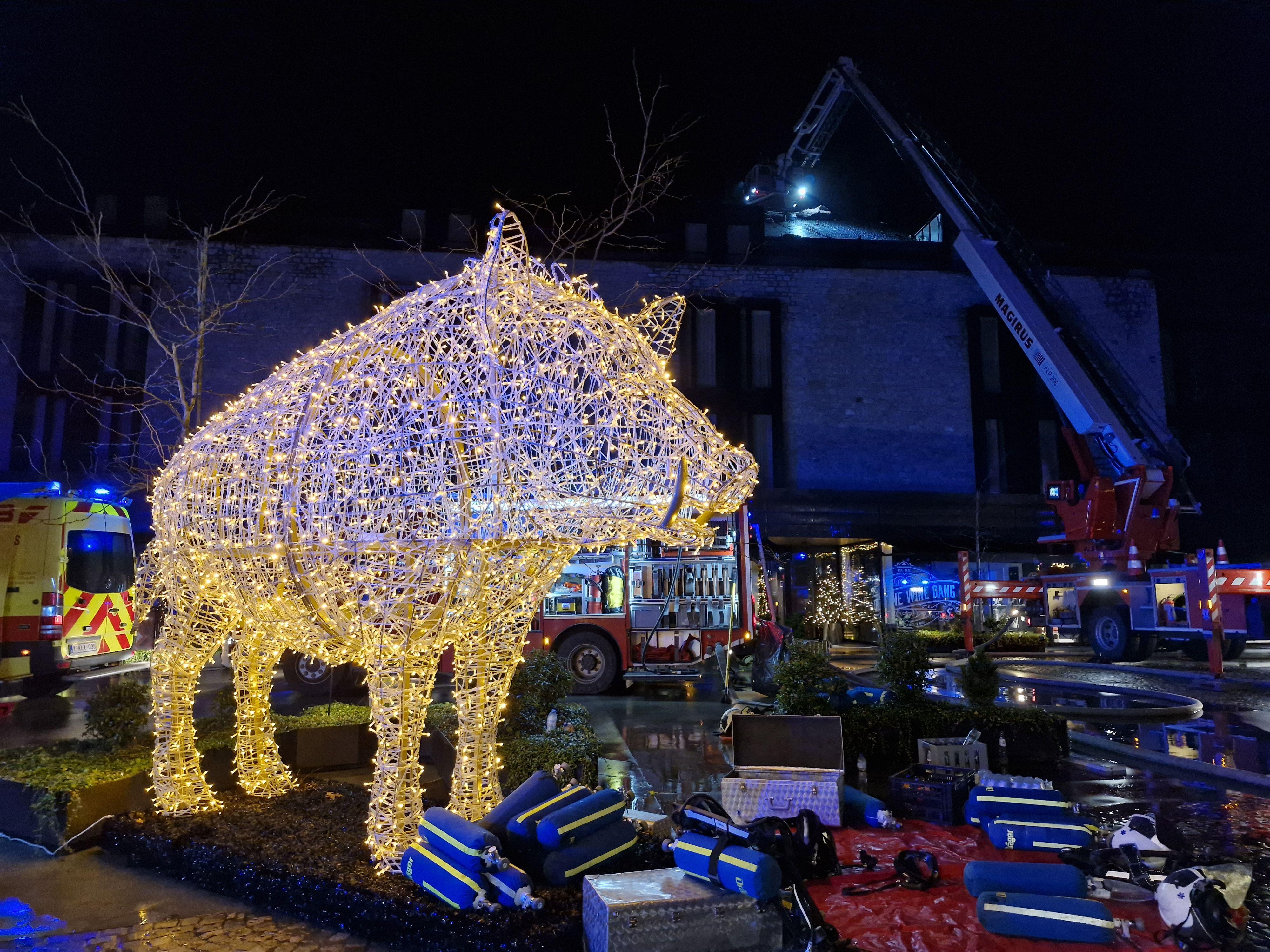 Sanglier des Ardennes.