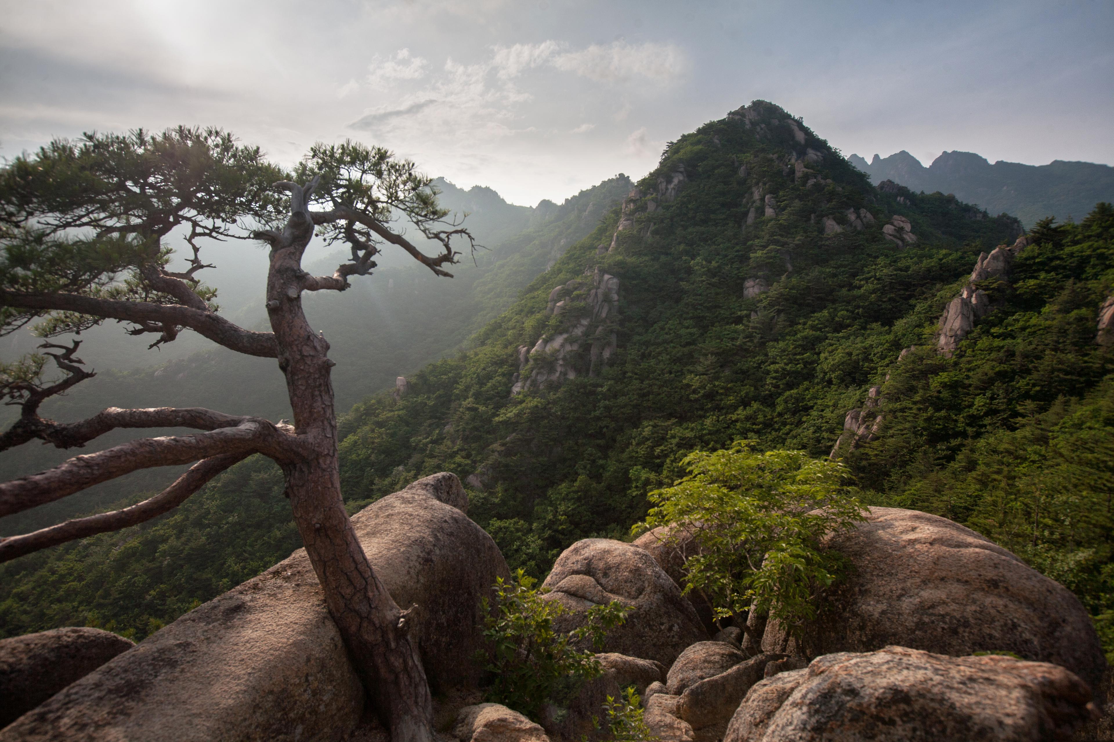 Gayasan National Park in Zuid-Korea