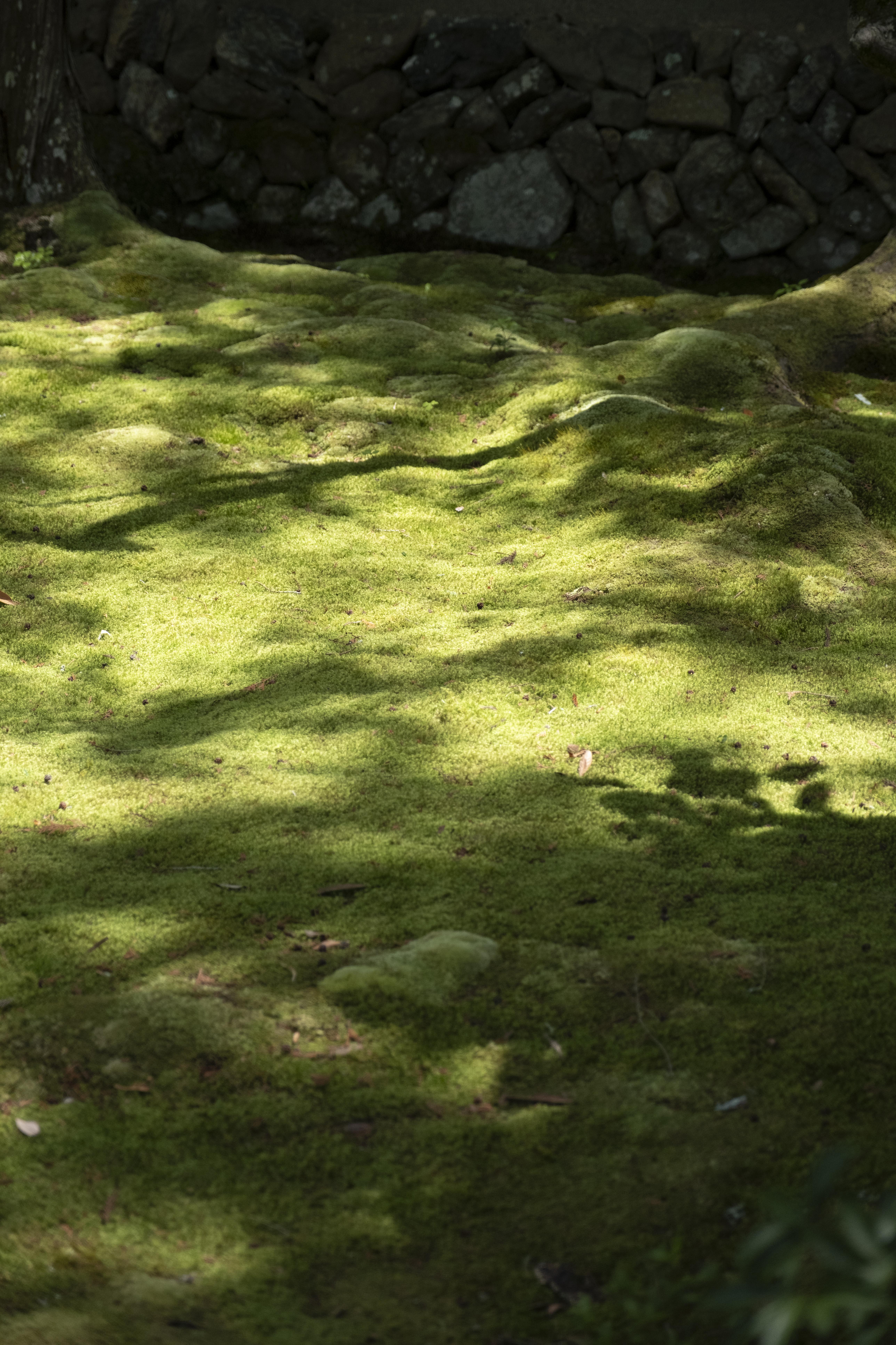 De mooiste tuinen van Japan