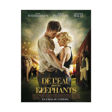 De l’eau pour les éléphants