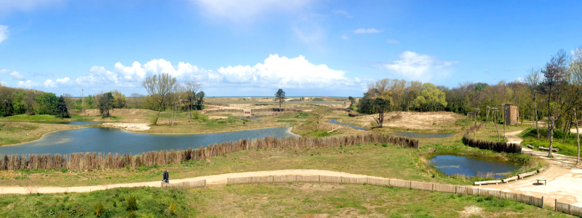 Cadzand