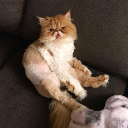 Matilda