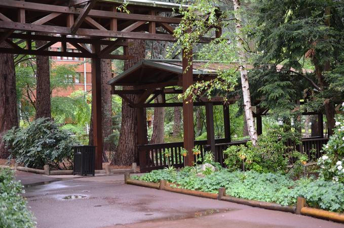 Sequoia Lodge