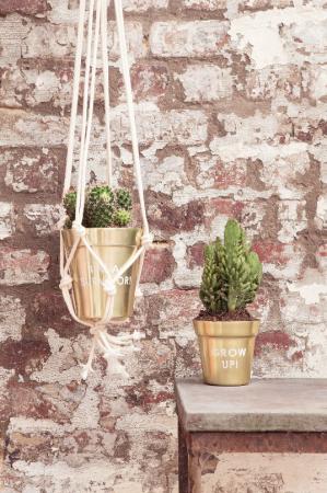 Hanging gardens