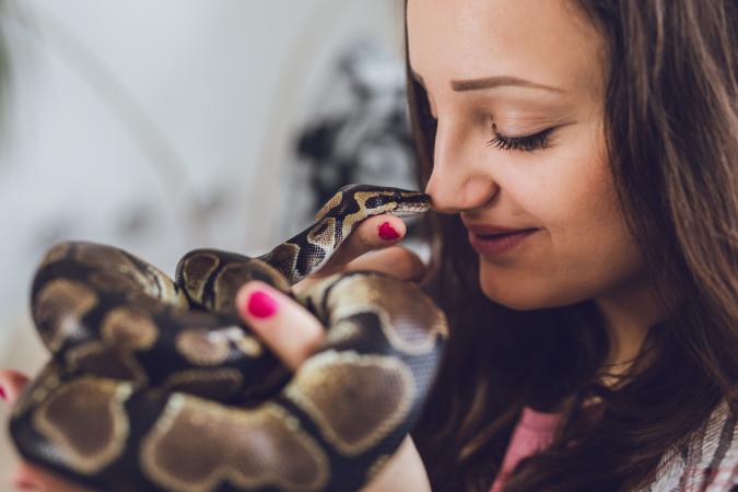Schorpioen (24/10 – 22/11): een slang