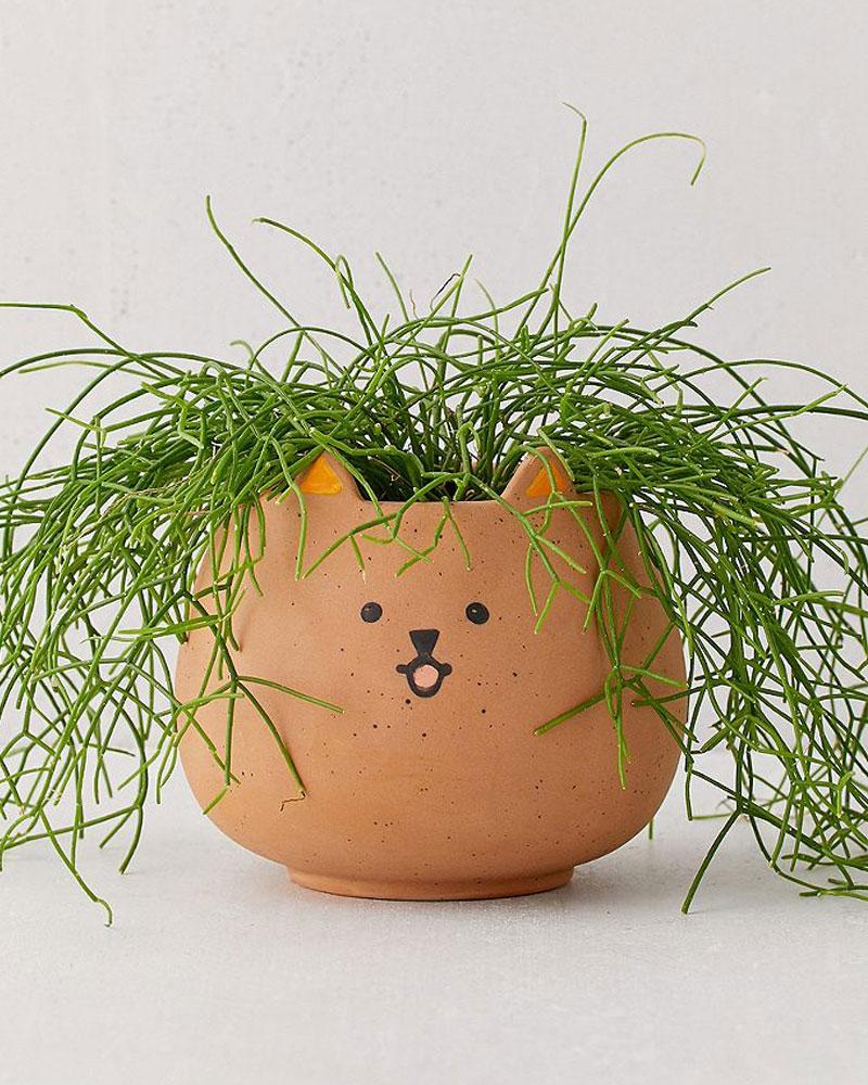 Cache-pot en forme de petit chat
