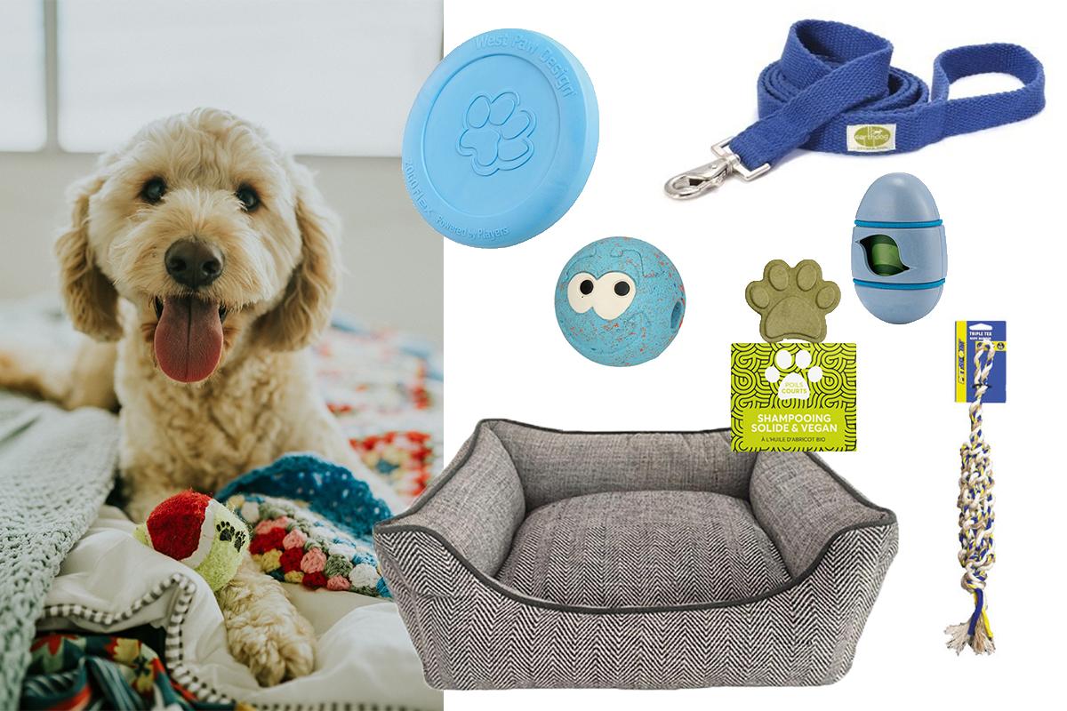 Persona krullen uitvinden 17 ecologische spullen voor je hond die je online kan shoppen