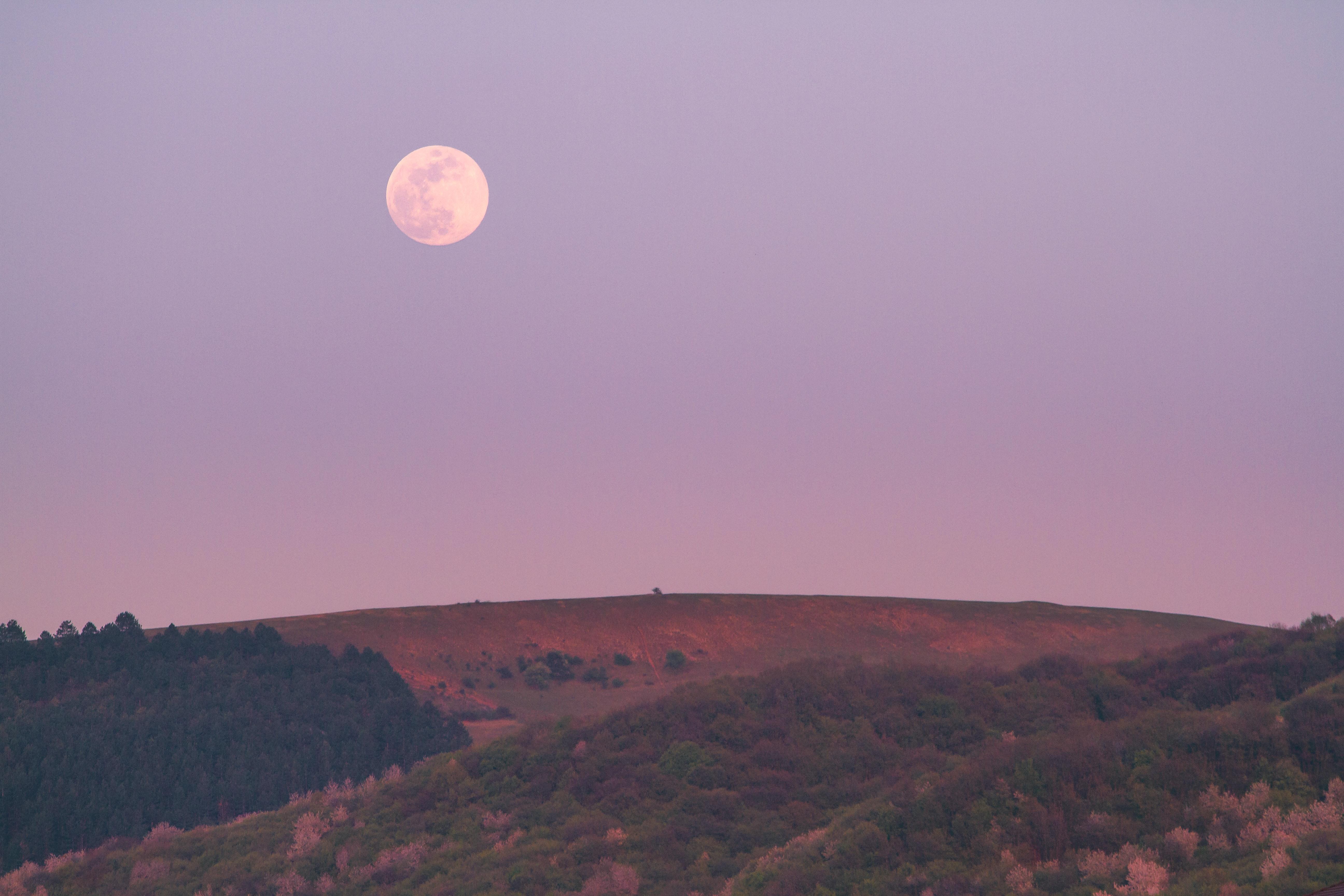 Photo De La Lune Pix Ville Et Pays Ouvrez les yeux: une lune rose éclairera le ciel le 27 avril prochain