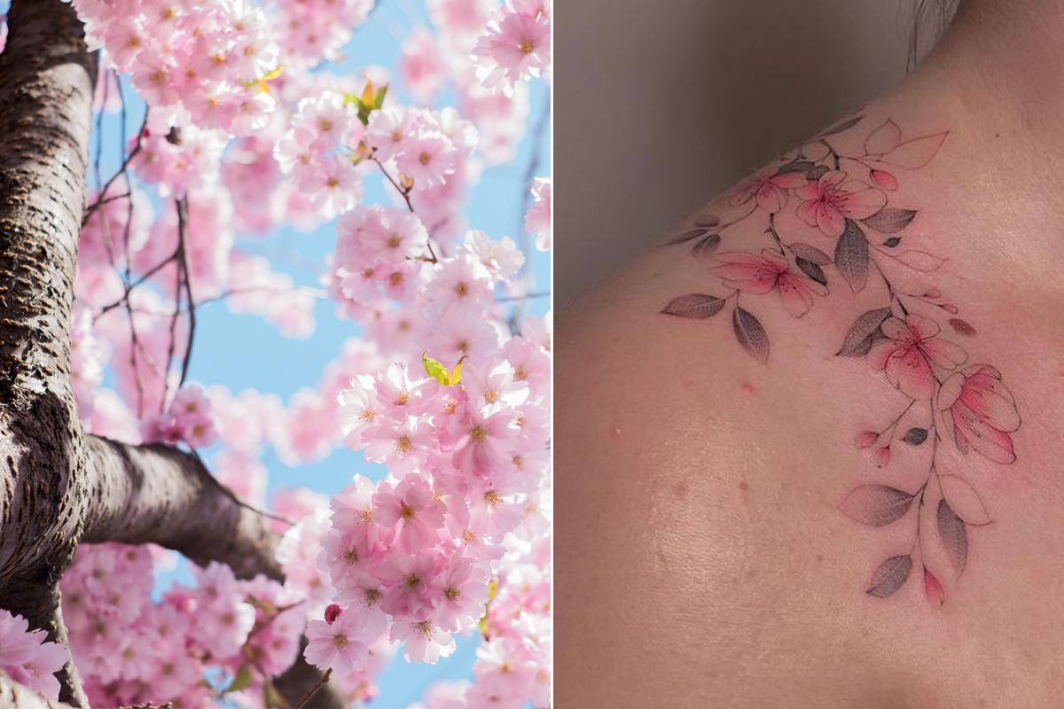 23 idées pour se tatouer des fleurs de cerisier