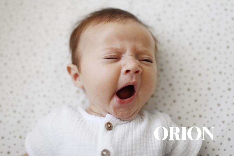 Orion