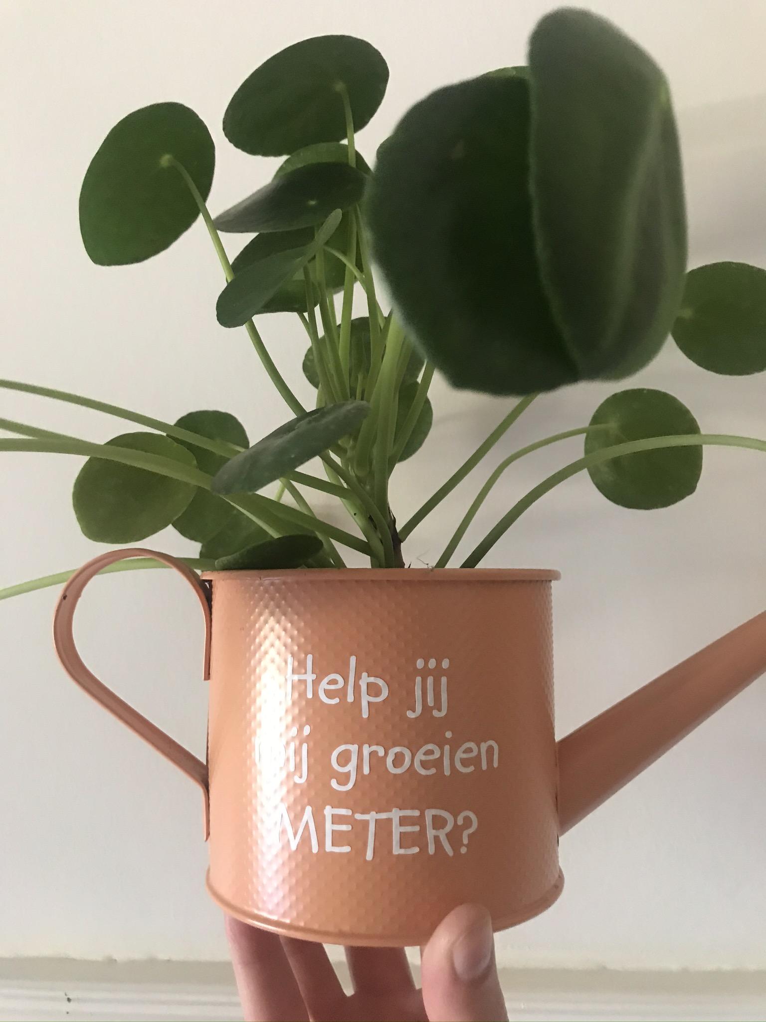 Meter en peter