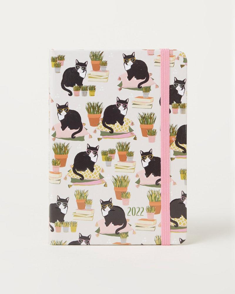 Weekagenda katten