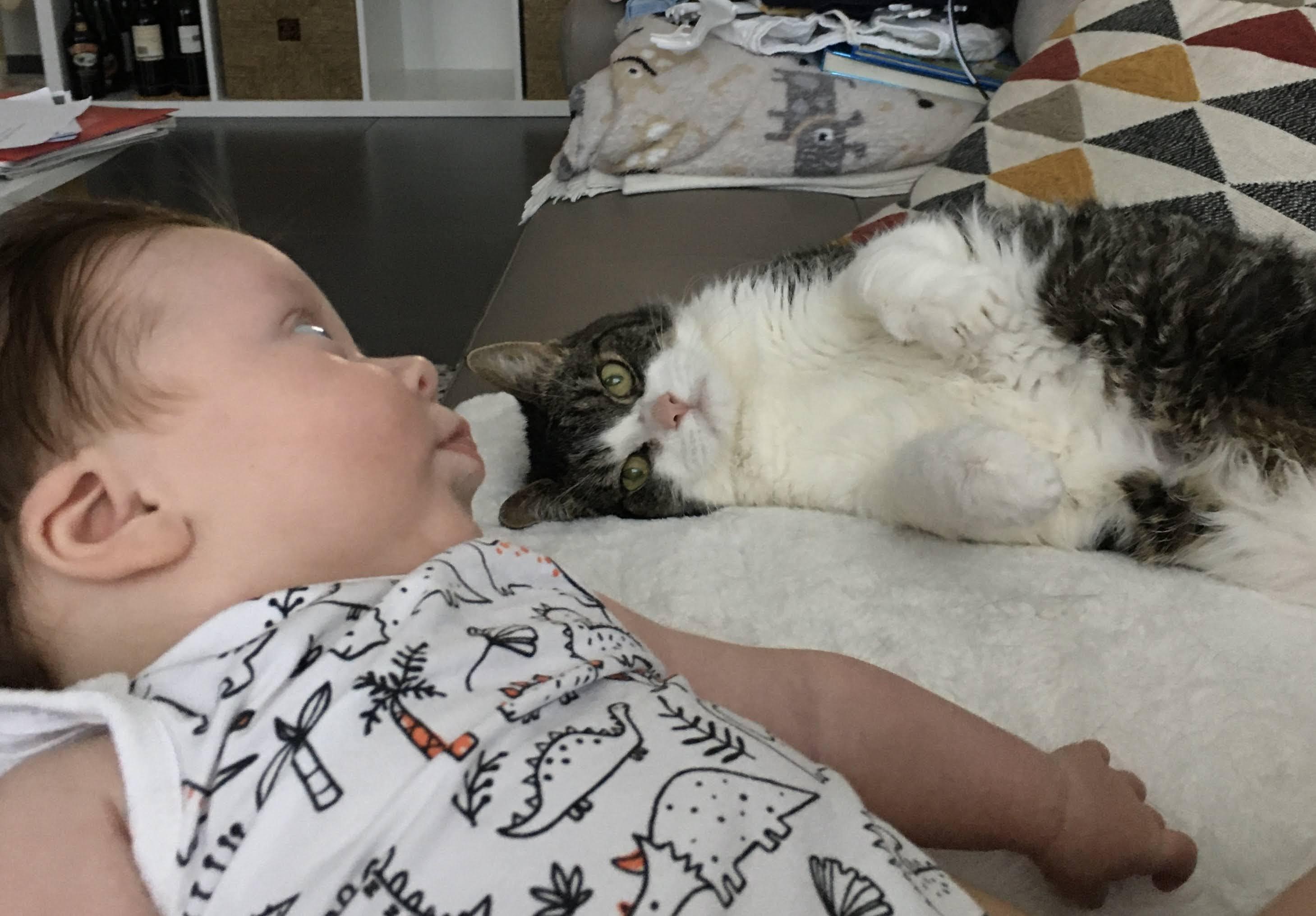 Matisse et mon chat