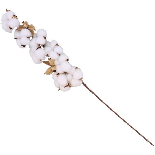 Branche de coton - 1,99€