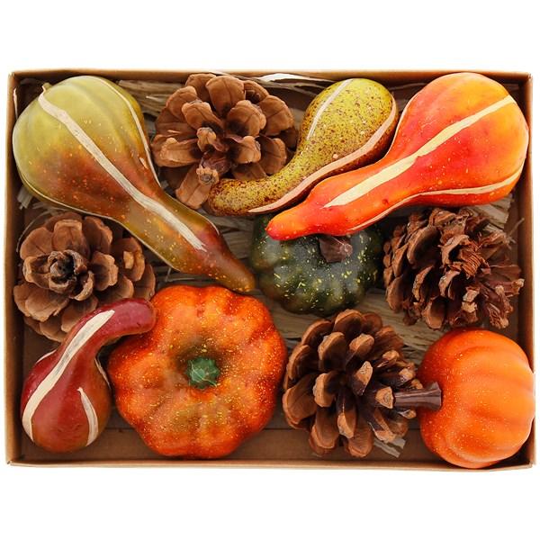 Plateau de courges - 1,99€