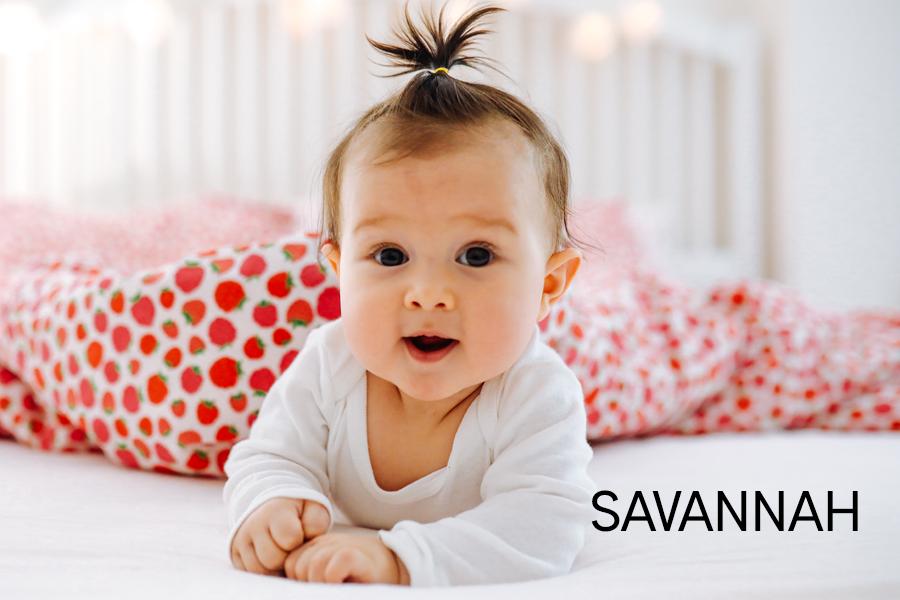 Savannah