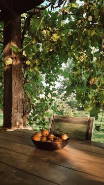 tuininspiratie