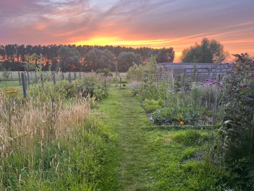 tuininspiratie
