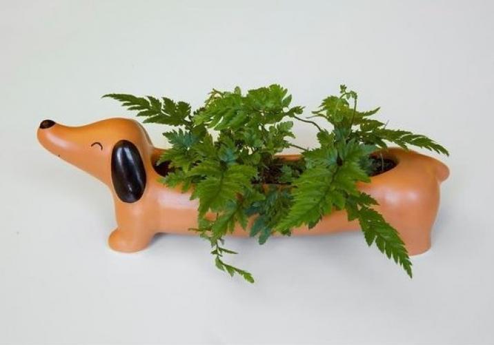 Groene vingers