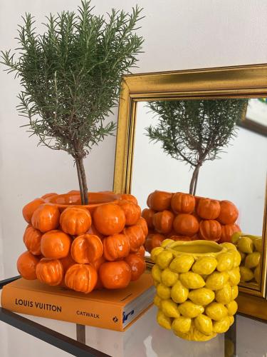 Scabiosa in sinaasappels