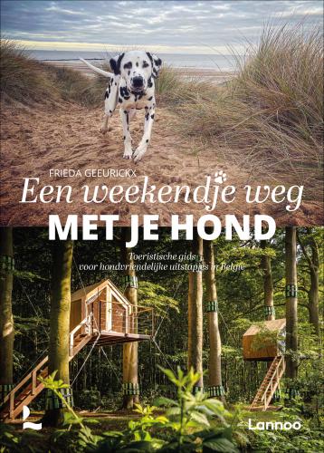 Een weekendje weg met je hond, een toeristische gids voor hondvriendelijke uitstapjes in België