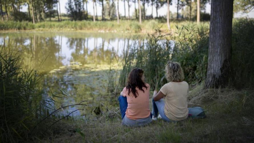 De Krekenwandeling tussen Rode Sluis en Koewacht