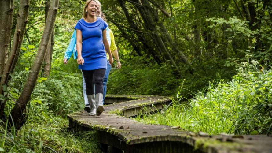 Wandelen door het Silsombos