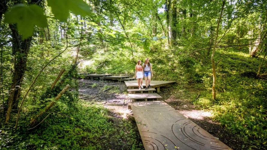 De Wolfsputten in Dilbeek